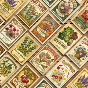 Vintage postkaardid